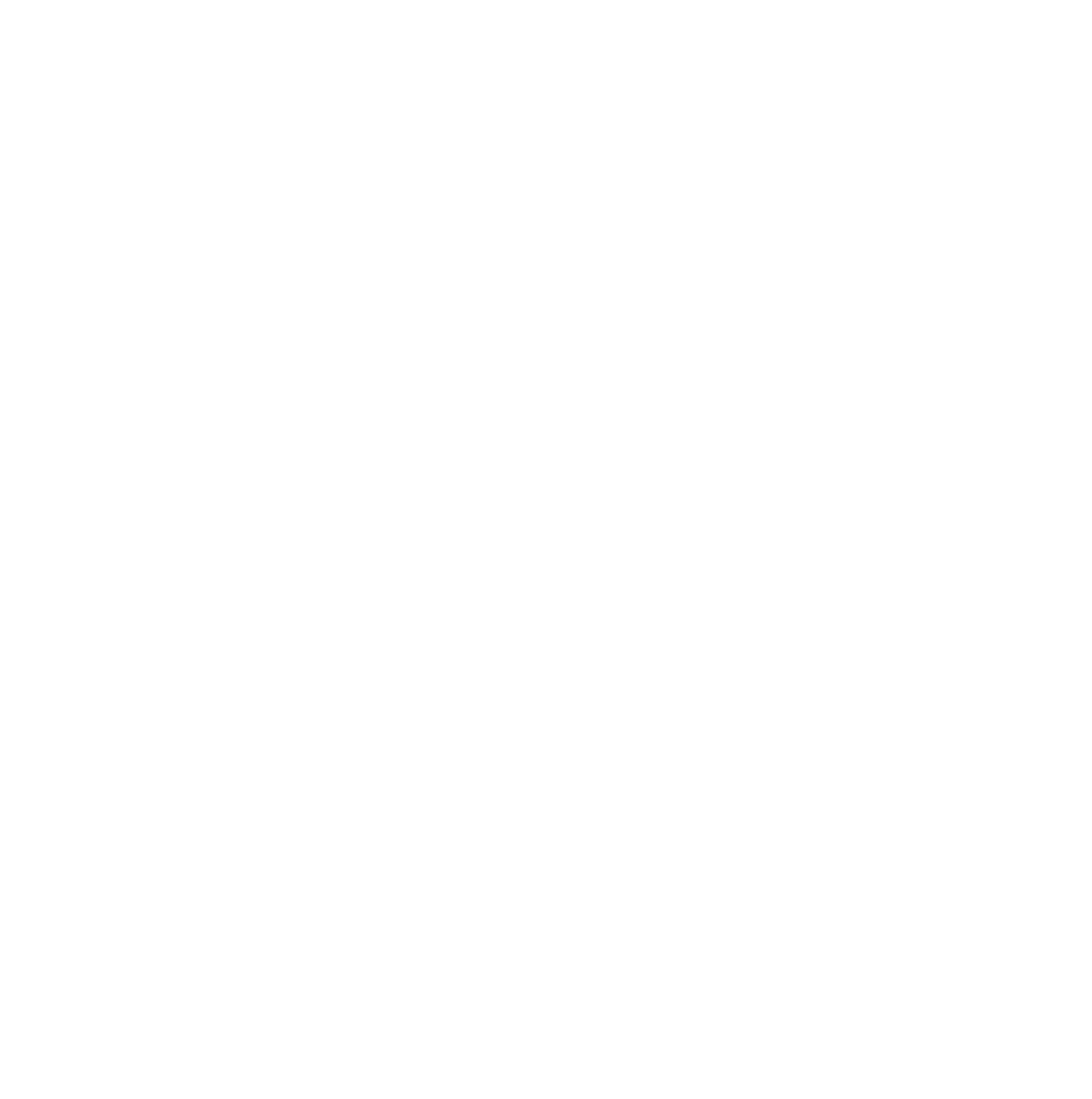 Born10 Logo